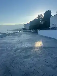 Кипарис - 57