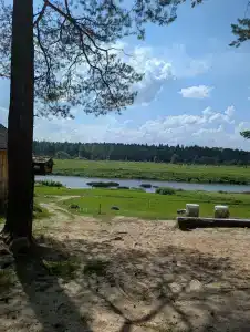 Гнездо - 35