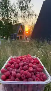 Хутор Марья - 6