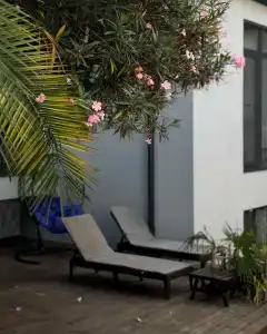 Булгаков - 51