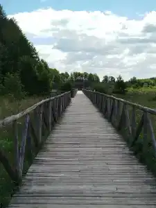 Каменюки - 25