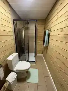 Dмитриевский - 57