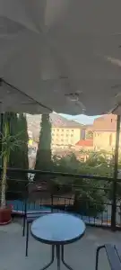 Ласточкино гнездо - 60