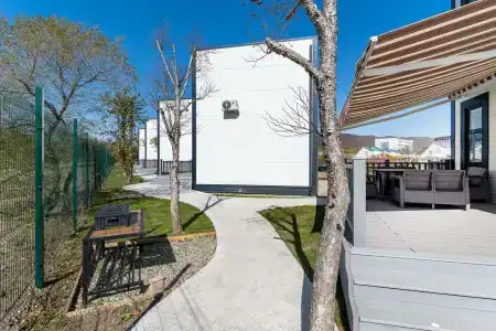 Звезда моря - 81