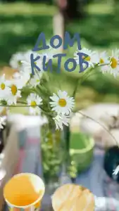 Дом Китов - 9