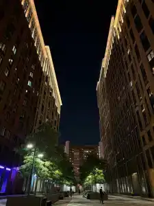 Royal View - 41