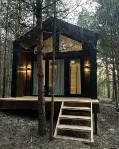 Сосны. Пространствие - 60