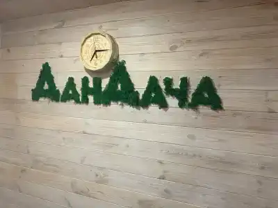 ДанДача - 11