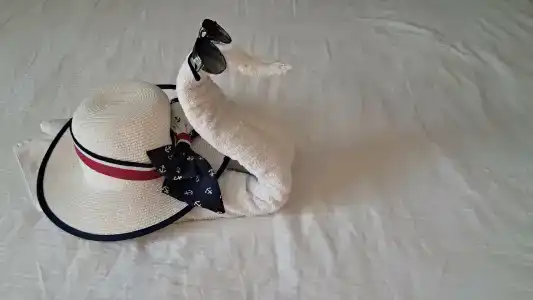 Alexia Resort & Spa - All Inclusive - 48