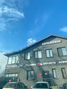 Большевик - 17