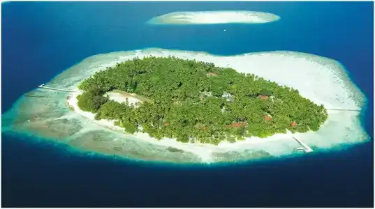 Biyadhoo Island Resort - 48
