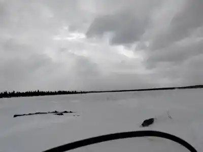 Compass Sosnovaya - 32