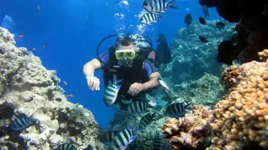 Concorde El Salam Sharm El Sheikh Front - 24