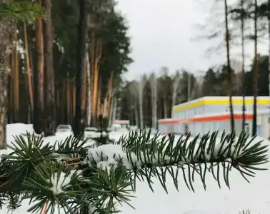 Уралец - 27