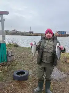 ТурУс - 40