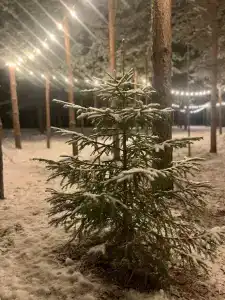 Где-то под Питером - 30