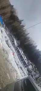 Цица - 26