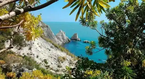 Il Parco Sirolo - 19