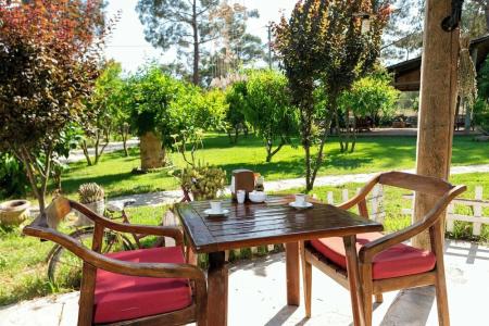 Koala Bungalows - 22