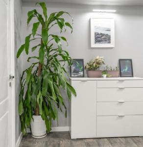 Три Барсука - 79