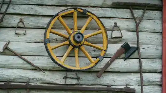 Снежный Барс - 29