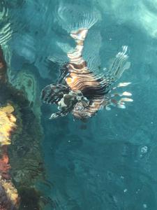 Titanic Palace - Families and Couples only - 60