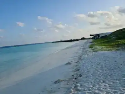 Aasna Inn - 10