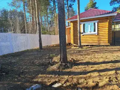 Лунный свет - 30