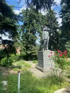Лаванда - 33