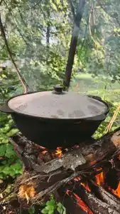 Березка - 20