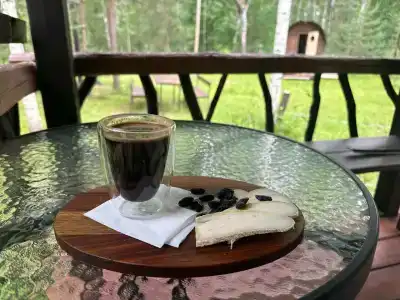 Лесная пристань - 1