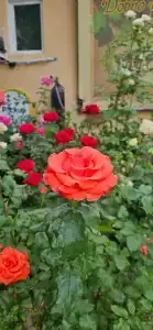 Вилла Атлантик - 35