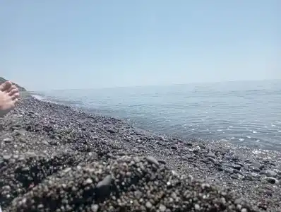 Багира - 56