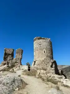 Кипарис - 5