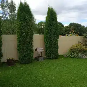 Династия - 82