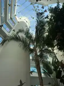 Blue Wave Suite - 39