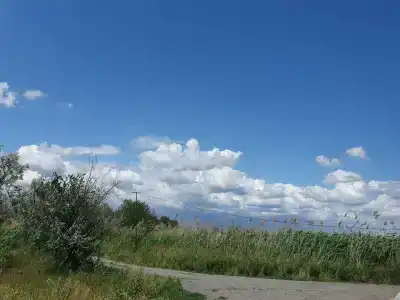 Водолей - 37