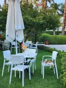 Emelda Sun Club, Ex Simena Sun Club - 20