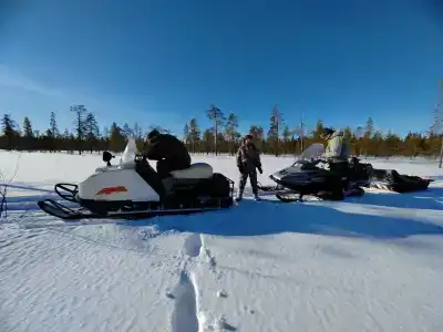 Compass Sosnovaya - 22