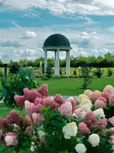 Карс Козельск - 26