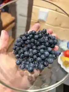 A-frame Сосновый бор - 47