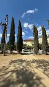 Баттерфляй - 23