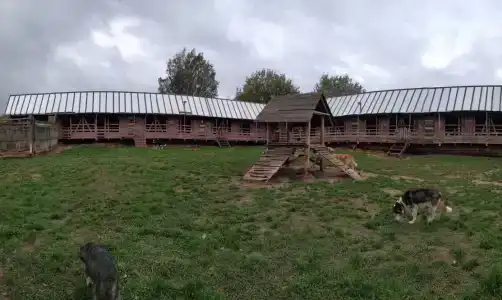 Северная надежда - 5