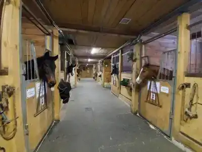 Конный Двор в Пржевальском - 18