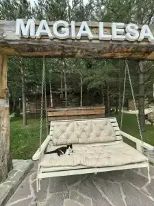 Магия леса - 27