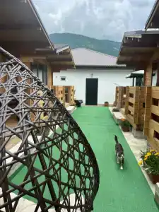 Oasis Eco-House - 28