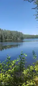 Любовь - 44