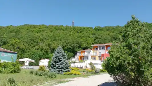 Эколоджия - 88