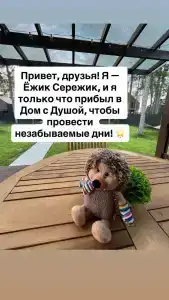 Дом с Душой - 11