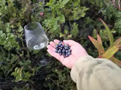 Кемпинг на Севере - 82